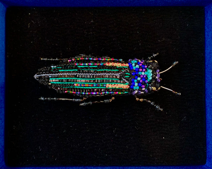 Noir Beetle Brooch