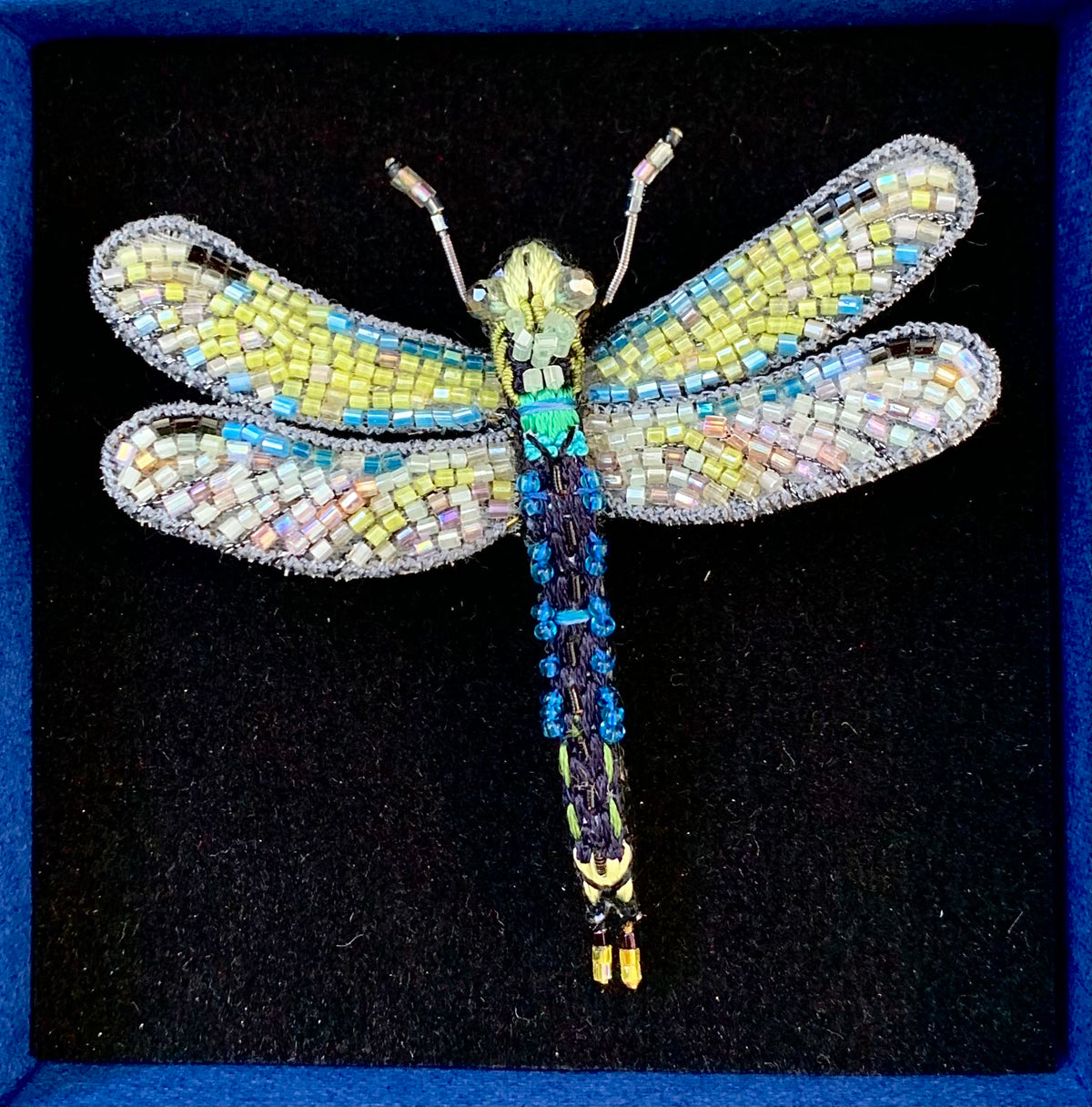 Common Hawker Dragonfly Brooch