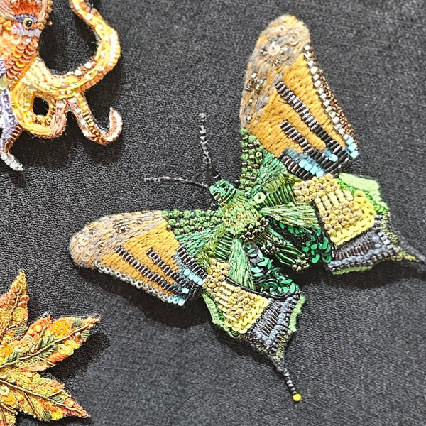 Emperor India Butterfly