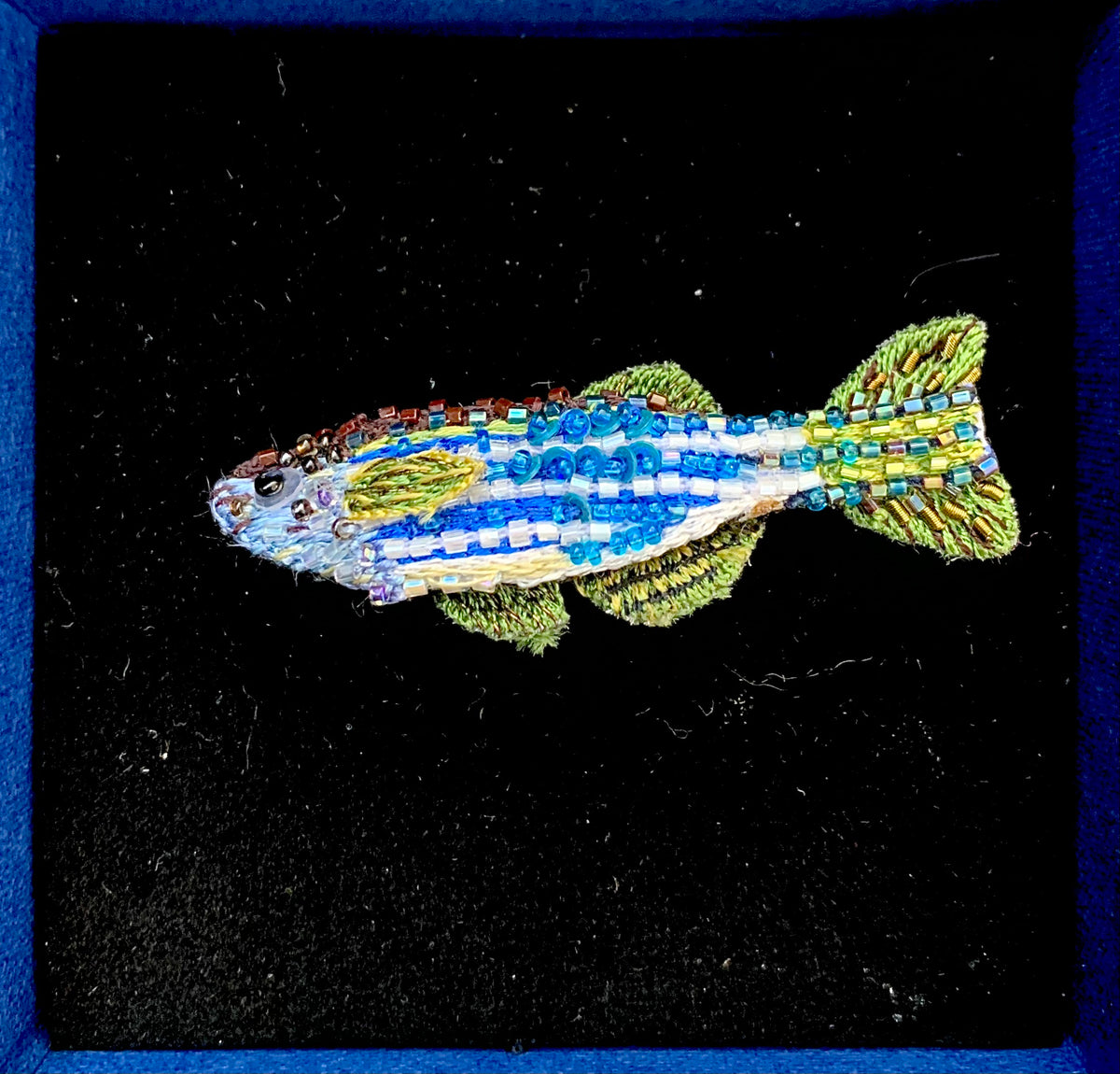 Zebra Fish Brooch