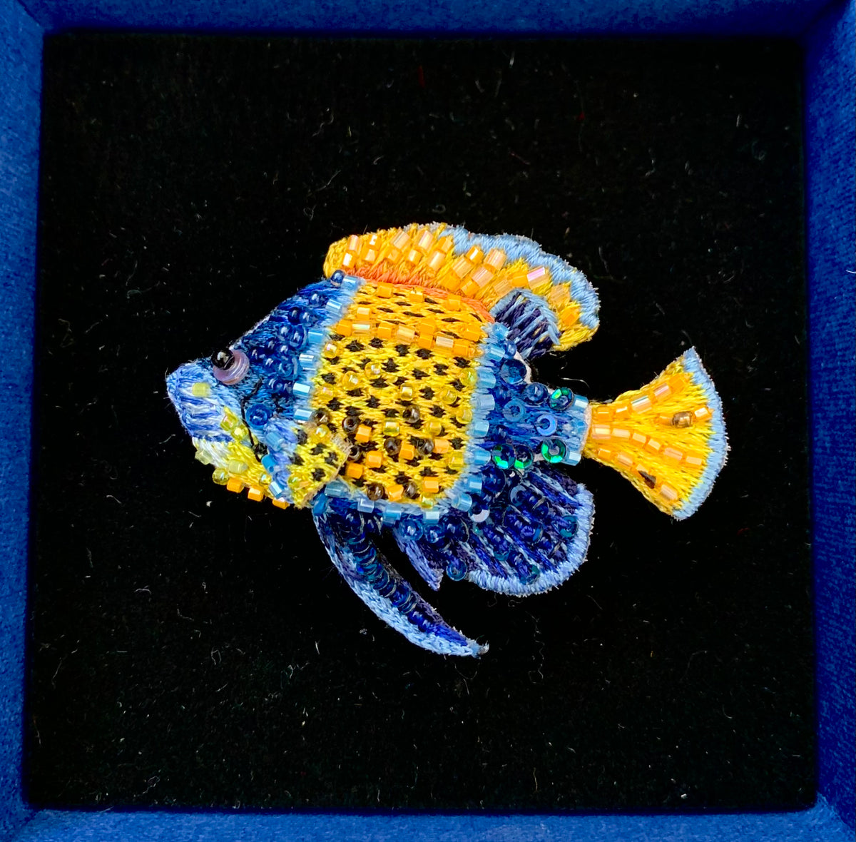 Magnetic Angelfish Brooch