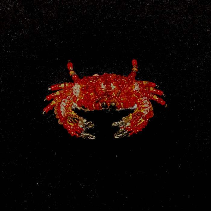 Red Rock Crab Brooch