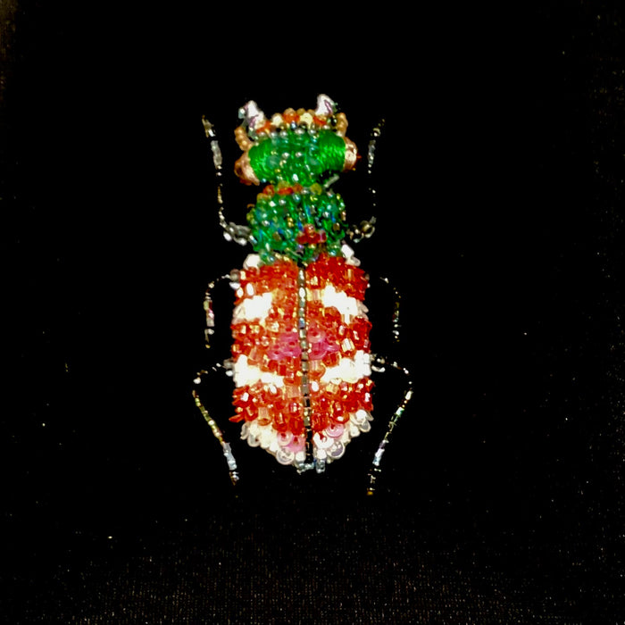 Tiger Beetle Brooch