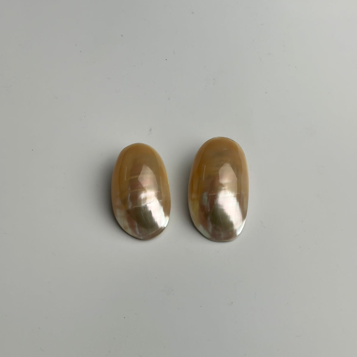 Shell Earring