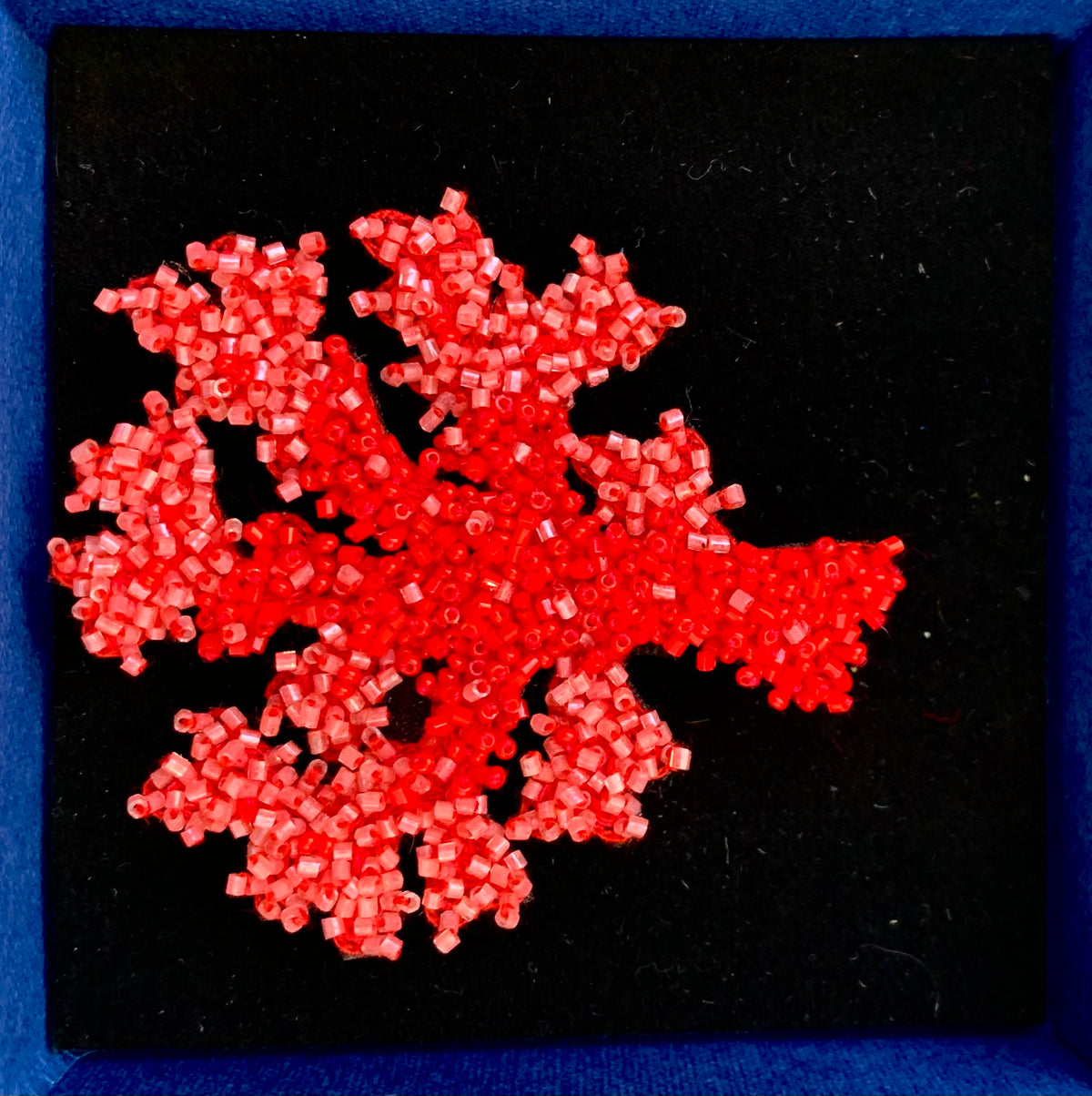 Coral Brooch