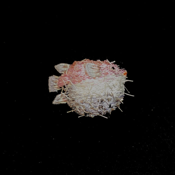 Puffer Fish Brooch