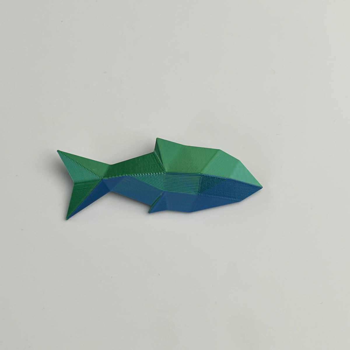Aurora Fish