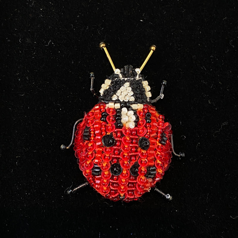 Red Lady Bug Brooch