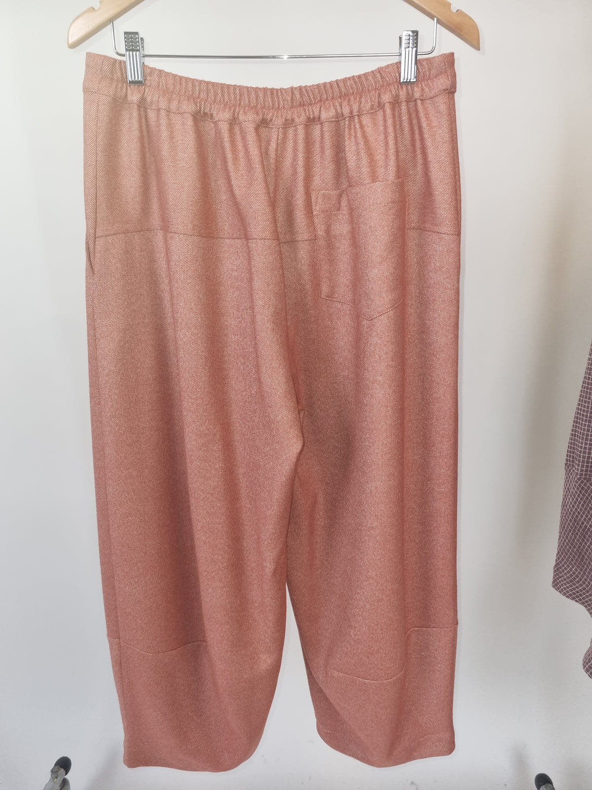Alpha Terracotta Pant