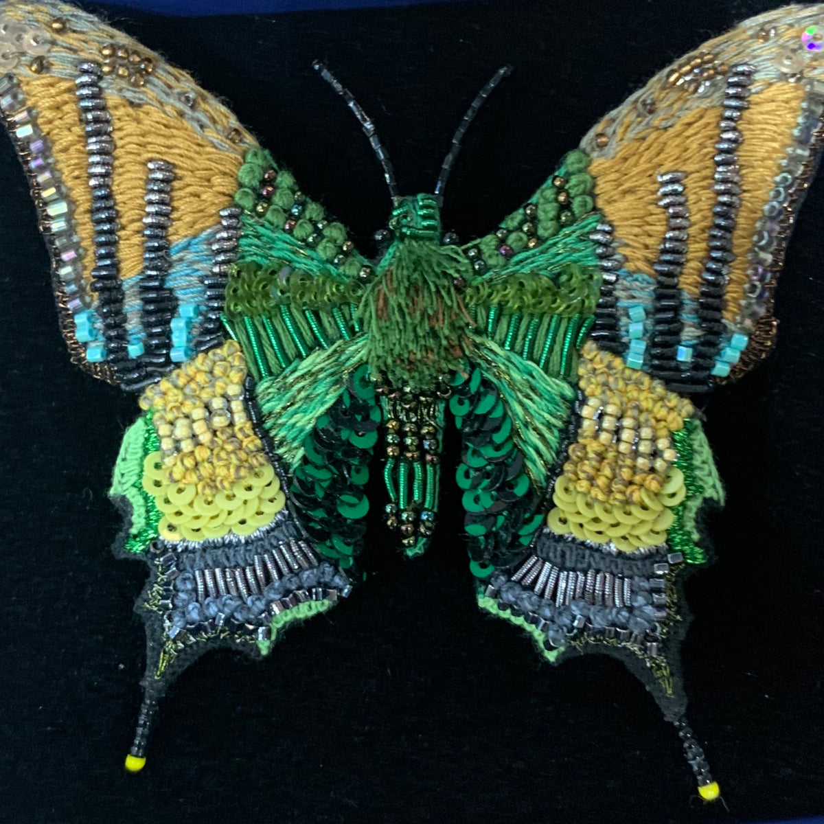 Trovelore, Emperor India Butterfly - Tiffany Treloar